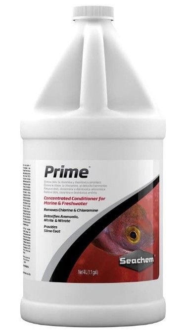 Seachem Prime Water Conditioner F/W &S/W [Ammonia Removers for Aquarium] 4 Liters (1.1 Gallon)