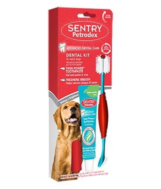 Sentry Petrodex Dental Kit for Adult Dogs [Dental & Breath Aids for Dog] 1 count