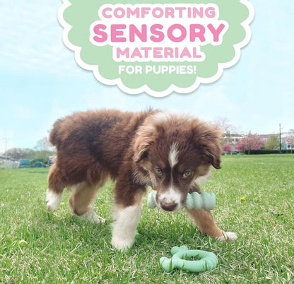 Nylabone Puppy Sensory Material Roll and Chew Stick Peanut Butter Flavor [Dog Supplies] 1 count