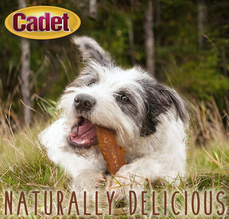 Cadet Gourmet Chicken Breast Treats for Dogs [Dog Supplies] 14 oz