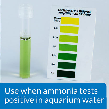 API Ammo Lock Detoxifies Aquarium Ammonia [Aquarium Supplies for Aquarium] 48 oz (3 x 16 oz)