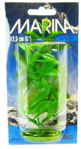 Marina Hygrophila Plant [Plants Standard for Aquarium] 5" Tall