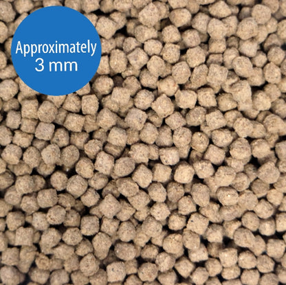 API Bottom Feeder Shrimp Pellets Sinking Pellets Fish Food [Aquarium Supplies] 7.9 oz