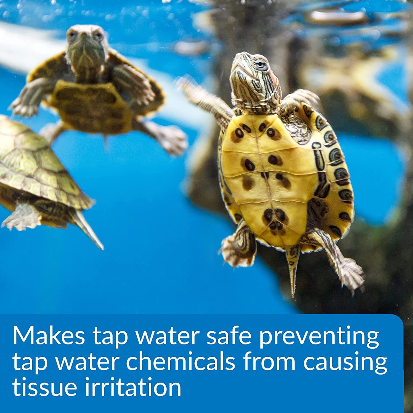 API Turtle Water Conditioner Makes Tap Water Safe [Reptile Supplies] 40 oz (5 x 8 oz)