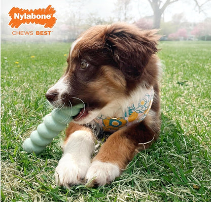 Nylabone Puppy Sensory Material Roll and Chew Stick Peanut Butter Flavor [Dog Supplies] 1 count