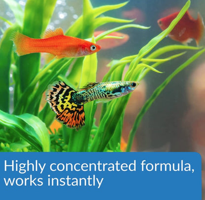 API Aqua Essential All-in-One Concentrated Water Conditioner [Aquarium Supplies for Aquarium] 72 oz (18 x 4 oz)