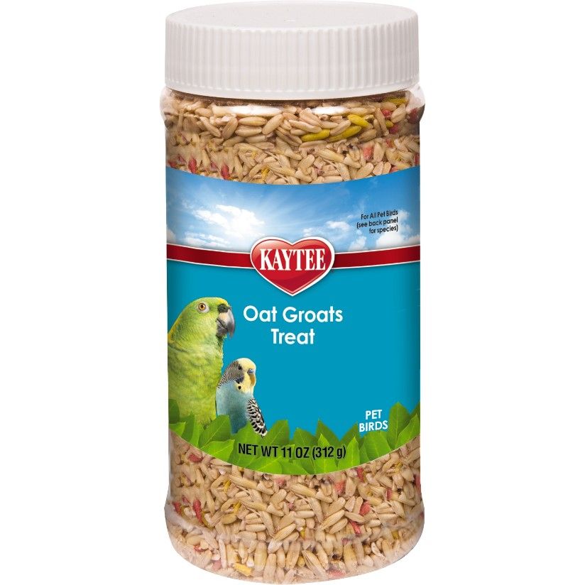 Kaytee Forti-Diet Pro Health Oat Groats Treat - All Birds [Treats & Supplements] 11 oz