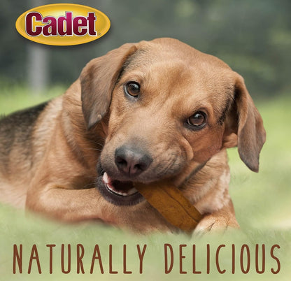 Cadet Premium Grade Beef Hide Chew Curls [Dog Supplies] 1 lb