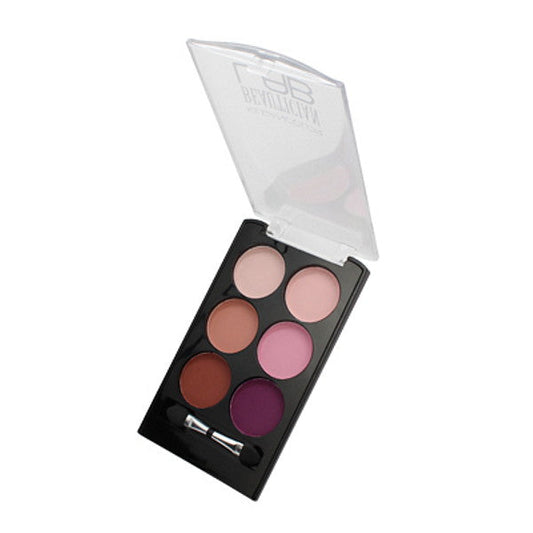 KLEANCOLOR Beautician Lab Shimmer Shadow Pallete [Eyeshadow] Scientist