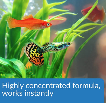 API Aqua Essential All-in-One Concentrated Water Conditioner [Aquarium Supplies for Aquarium] 80 oz (10 x 8 oz)