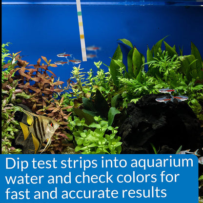 API 5 in 1 Aquarium Test Strips for Freshwater and Saltwater Aquariums [Aquarium Supplies for Aquarium] 300 count (3 x 100 ct)